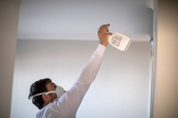 Best Attic Mold Remediation in Plain City, OH