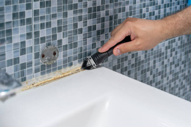Best Localized Mold Remediation (e.g., coastal areas, humid climates) in Plain City, OH