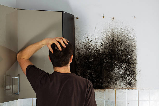 Plain City, OH Mold Remediation Company